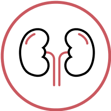 Renal complications of GSDIa